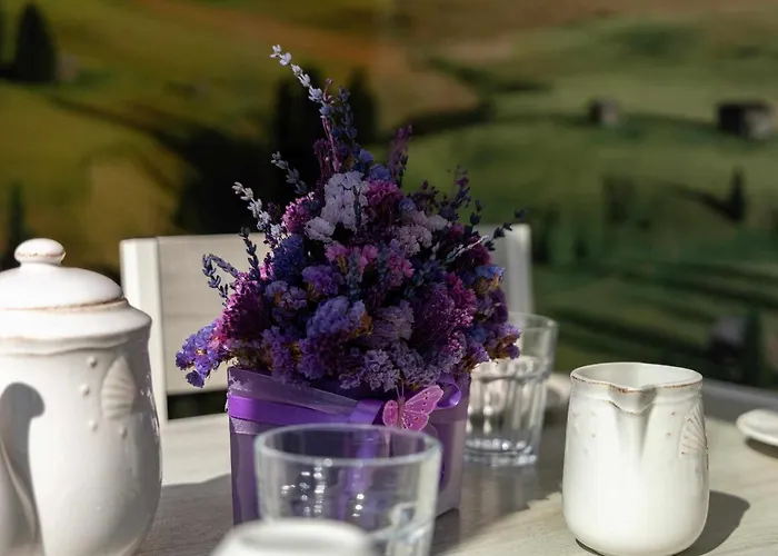 Violet House Your Place To Проживание в семье