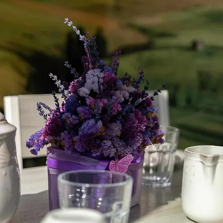 Violet House Your Place To Pansiyon