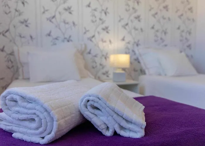 Violet House Your Place To Homestay